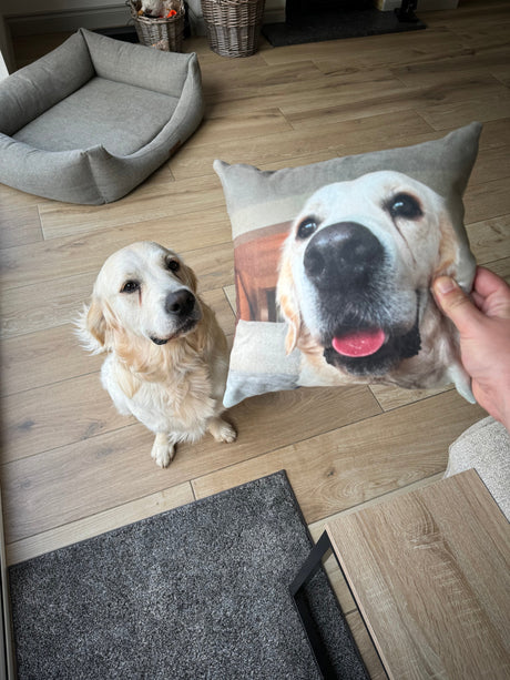 Pet Photo Cushions